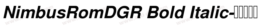 NimbusRomDGR Bold Italic字体转换
